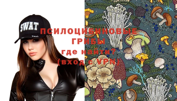 винт Белокуриха