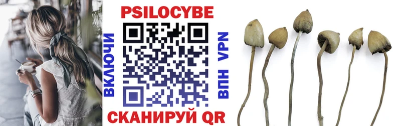 Купить  Константиновск  Галлюциногенные грибы Cubensis 
